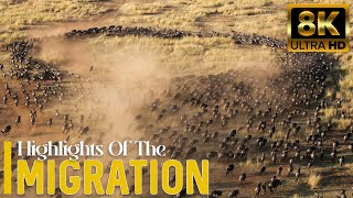 The Most Beautiful Moments Of The Great Migration In Masai Mara Kenya With Relaxing Music [upl. by Dlared]