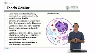 Generalidades de la célula y la membrana plasmática  160  UPV [upl. by Yhtamit40]