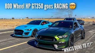 BOOSTED GT350 HEADS TO AIRSTRIP TO RACE [upl. by Bartholomeo]