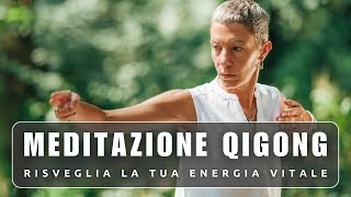 Meditazione Qigong  La Chiave per Risvegliare la tua ENERGIA VITALE [upl. by Xam]