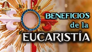 💎 Beneficios de la Eucaristía ✅ ¿Cómo recibir bien la Comunión🎙️PODCAST Caballeros de la Virgen [upl. by Mas918]