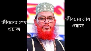 কবর সম্পর্কে আল্লামা সাঈদীর বাংলা ওয়াজ সকলের শুনা উচিত [upl. by Cammie]