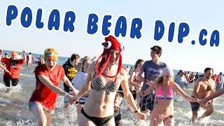 POLAR BEAR DIP 2017 [upl. by Elery]