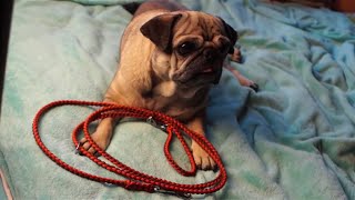 DIY Paracord Hundeleine rund [upl. by Marylinda643]