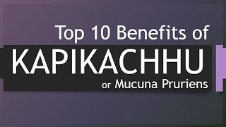 Top 10 Benefits of Kapikachhu  Health benefits of Kapikachhu  Herb Kapikachhu [upl. by Dixil]