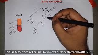 Hematocrit  blood components  Composition of blood । Blood physiology  Bangla  বাংলা [upl. by Anirtal413]