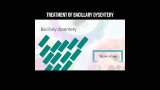 Treatment of bacillary dysentery bacillus dysentery [upl. by Yddur]