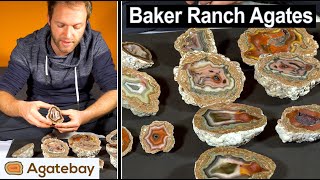 Worldclass Baker Ranch agates from my fathers collection 🤩 Agates explained by Josh 4K [upl. by Stephenie]