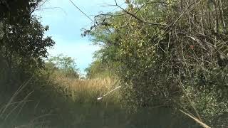 Cholutecas River Basin UHD Footage 0101301021 [upl. by Nevet]