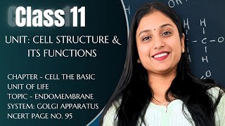 CLASS 11  CH8 CELL  GOLGI APPARATUS  NCERT PG 95  BY DIKSHA MAAM  NEET [upl. by Eimmis]