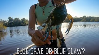 Paddleboard Crabbing  Catch Clean amp Cook My First [upl. by Latoniah]