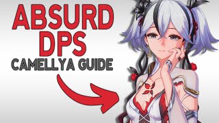 CAMELLYA GUIDE FOR DUMMIES  How to Build Echoes Weapons Teams  Wuthering Waves 14 [upl. by Casady]