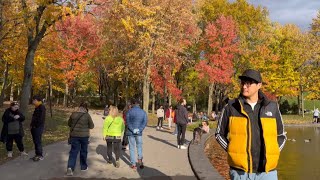 MONTREAL Autumn Walking Tour 4K  October 15 2022 [upl. by Dee]