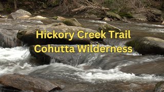 Hickory Creek Trail Cohutta Wilderness Georgia Hiking [upl. by Eelam]