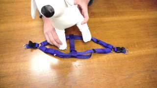 PetChampion  Step in Harness How To [upl. by Phyllida]