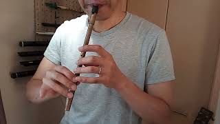 John Egans Polka  Tin Whistle [upl. by Radloff15]