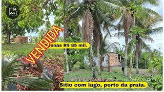 Vendo Sítio lindo R85 mil À 40 minutos das praias de Caravelas e Prado no Extremo sul da Bahia [upl. by Neils]