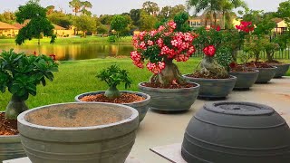 DIY How to make large Concrete Planters from A to Z Concrete Pottery [upl. by Seigel]