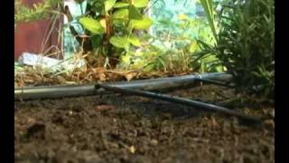 Drip Irrigation Kit  Garden BedsSoaker Dripline [upl. by Dannel]