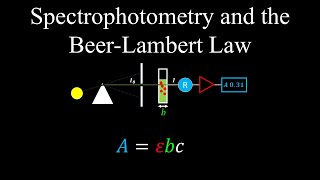 Spectrophotometry Beer Lambert Law  Chemistry [upl. by Manny]