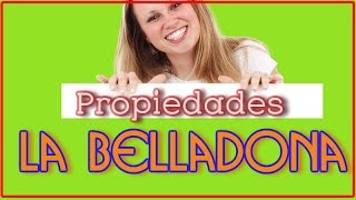 La Belladona Propiedades  Lo Que Debes de Conocer Del Uso De La Belladona Como Planta Medicinal [upl. by Alleahcim968]