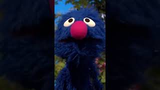 The Best of Grovers Funny Moments sesamestreet [upl. by Acihsay898]