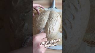 Overproofed sourdough 5min score  shorts [upl. by Shepley300]