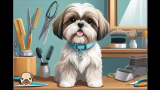 Shih tzu Grooming  How to Groom a Shih Tzu at Home step by step 🐕✂️tipsamp trick dog [upl. by Elah]