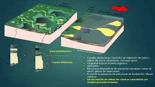 TP N° 7  Ambientes sedimentarios transicionales estuarios y deltas [upl. by Eanad]