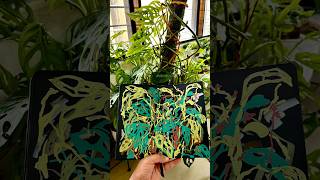 Painting Monstera livepaint illustration monsteraplant sketchbook paintwithme [upl. by Duester901]