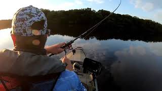 Fishing with ProCure Super Gel Scent  Rhett Gill on the Bream [upl. by Butterfield]