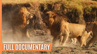 Hunting and being hunted in Kenyas Masai Mara  Full Documentary [upl. by Tecla]