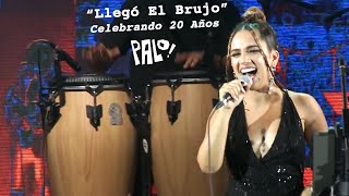 PALO quotLlegó El Brujoquot Musica Cubana Salsa Jazz Funk [upl. by Kirch]