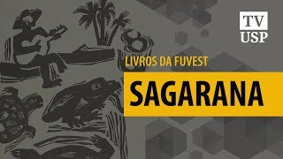 Livros da Fuvest  Sagarana CURTO [upl. by Nancy]