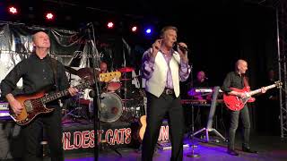 MARTY WILDE amp THE WILDCATS Jezebel WILDEST CATS IN TOWN XMAS 2017 Pontins Pakefield [upl. by Enirual]