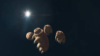 Tardigrades  Organisms That can survive in Space [upl. by Enala]