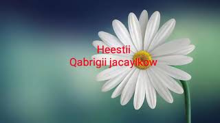 Saynab cige heestii qabrigii jacaylkow [upl. by Miehar242]