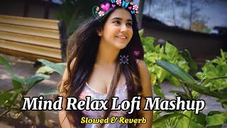 Mind Relaxing Songs 2024  Mind Relaxing Music Mind Relax Lofi Mashup 2024 [upl. by Amann]