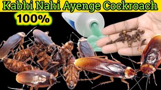 How To Kill Cockroach Within 5 minutes  MAGIC CLOVE  Home Remedy Hacks [upl. by Eelyram]