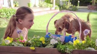 PetSmart commercial quotBasket of Savingsquot [upl. by Au]