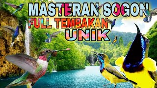 MASTERAN SOGON FULL TEMBAKAN PANJANG [upl. by Hola]