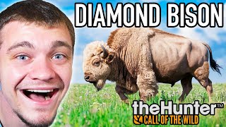 Hunting Down a RARE Diamond Bison [upl. by Gusta]