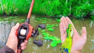 Topwater FROG Fishing HIDDEN Creeks for BIG BASS [upl. by Chanda229]