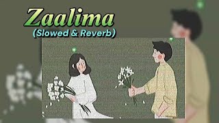 Zaalima Slowed amp Reverb song  Arijit Singh Harshdeep [upl. by Kirima817]