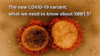 The new COVID19 variant what we need to know about XBB15 [upl. by Cain]