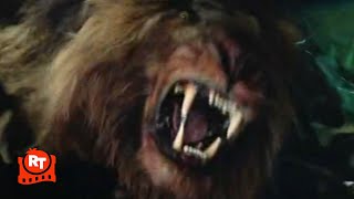 Beast 2022  Burning the Lion Scene  Movieclips [upl. by Ylrebmyk]