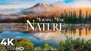 Morning Relaxing Music  Nature Relaxation Film 4K  Peaceful Relaxing Music  Video UltraHD [upl. by Aihsenal]