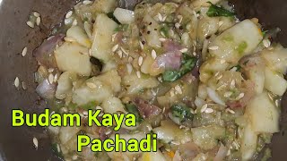 BudamKayaదోసకాయ Pachadi Recipe food pachadi indianfood videos [upl. by Auberon]