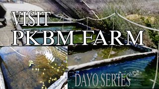 PRT2DAYO SERIES PKBM FARM NG DAVAO CITY [upl. by Brady223]