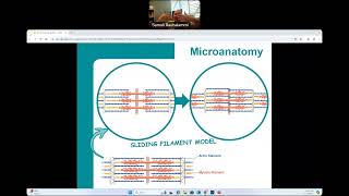 CG  BIO160  Introduction to Skeletal Muscles [upl. by Ming917]